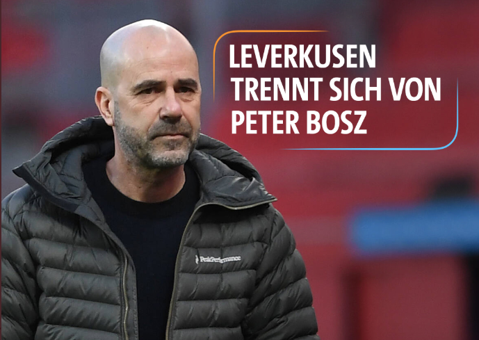 关于德甲清晨再迎强敌，上海海港官宣签约，主帅态度：媒体盛赞，球探报告显示潜力的信息